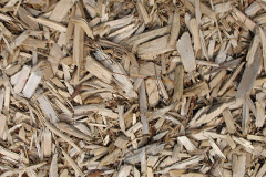 biomass boilers Plasiolyn