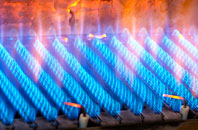 Plasiolyn gas fired boilers